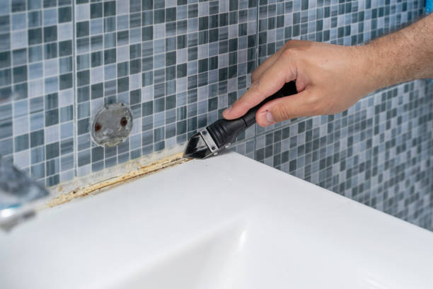 Best Professional Mold Removal  in Port Royal, SC