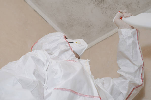 Best Mold Testing  in Port Royal, SC